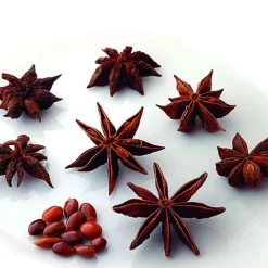 Anís estrellado - 50g