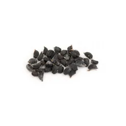 Apio caballar - 60g