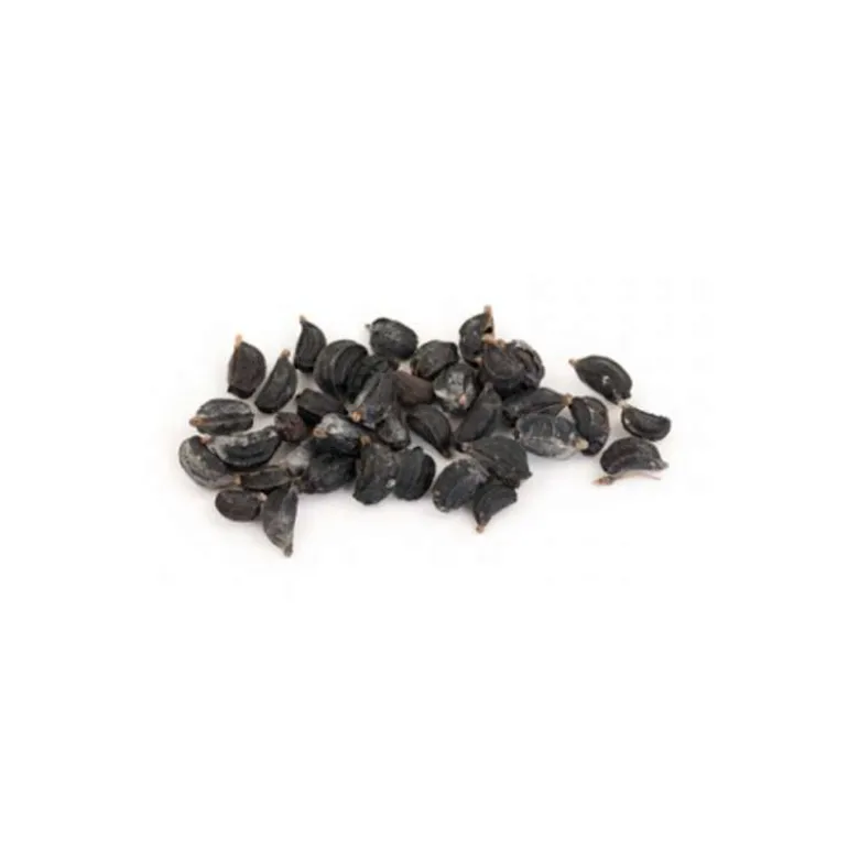 Apio caballar - 60g