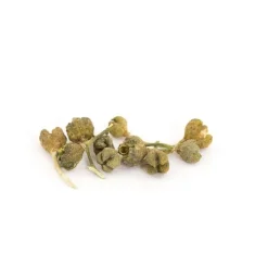 Baya de la Pasión - 25g