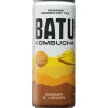 Bebida de kombucha sabor jengibre limón - 250ml