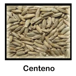 Centeno entero - 500 g