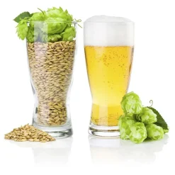Equipo básico para hacer cerveza - 30 litros