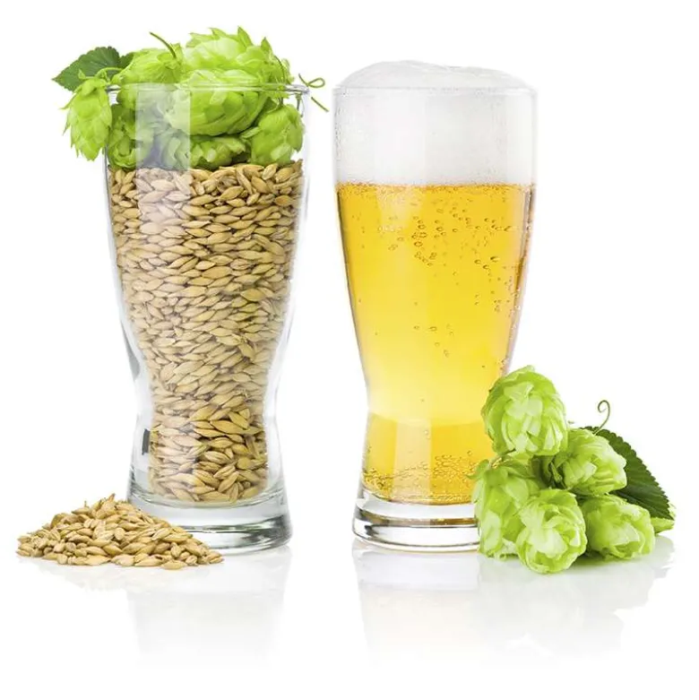 Equipo De Luxe para Cerveza - 2 fermentadores