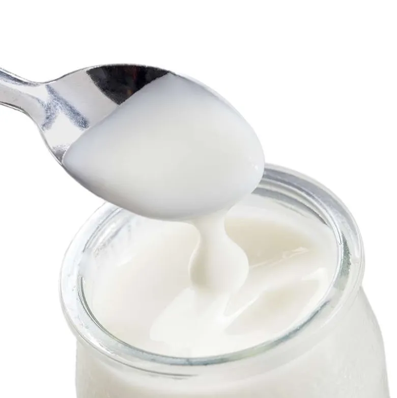 Fermentos Acidophilus para Yogur - 1g