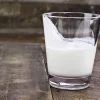 Fermentos para hacer kéfir - 1 g