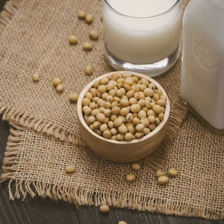 Fermento vegano - 1g