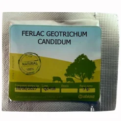 Geotrichum Candidum - 3g