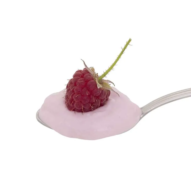 Kit para elaborar Skyr