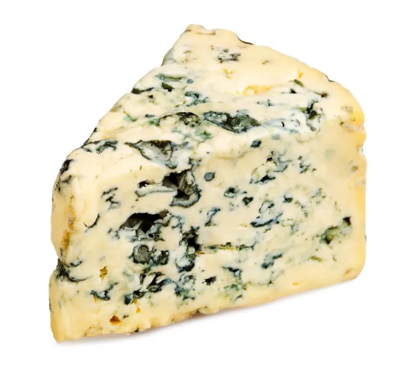 Kit para hacer Queso Premium