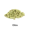Lúpulo Citra en pellets 2025 - 100g