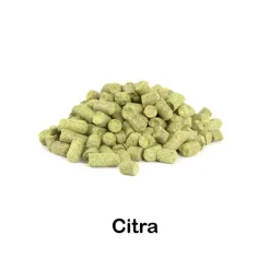 Lúpulo Citra en pellets 2025 - 100g