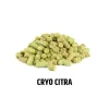 Lúpulo CRYO Citra en pellets 2025 - 50g