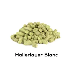 Lúpulo Hallertauer Blanc 2025 - 100g
