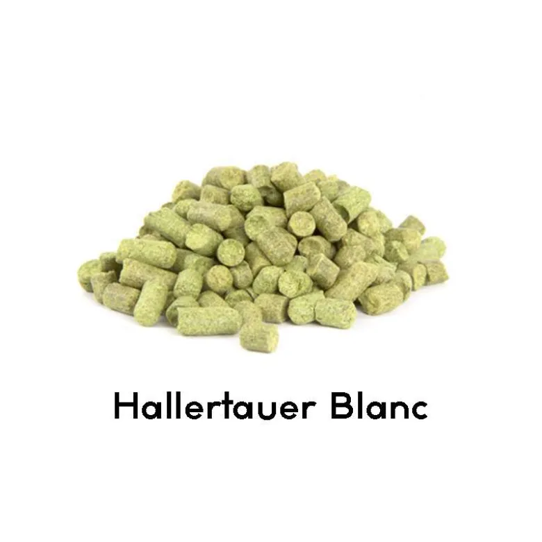 Lúpulo Hallertauer Blanc 2025 - 100g