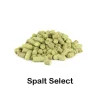 Lúpulo Spalt Select en pellet 2025 - 100g