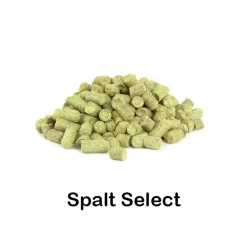 Lúpulo Spalt Select en pellet 2025 - 100g