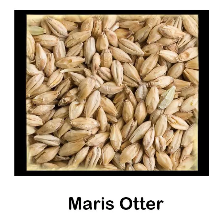 Malta Bairds Maris Otter - 1 Kg - Entera
