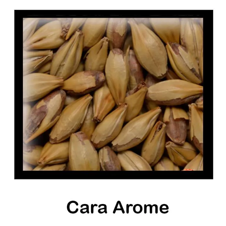 Malta Cara Arome - 500g - Entera