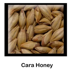 Malta Cara Honey - 500g - Entera