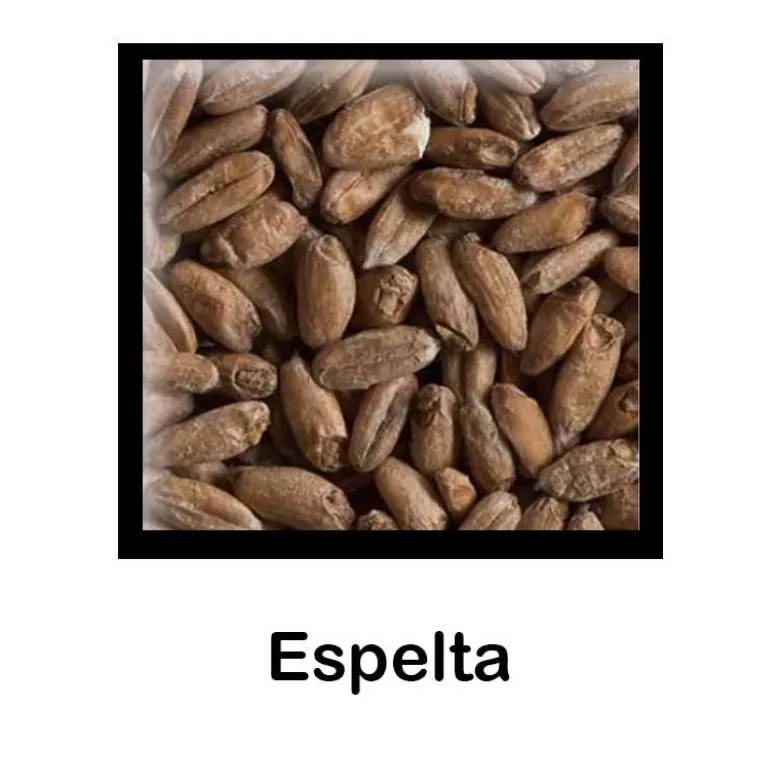 Malta de Espelta - 500 g - Entera