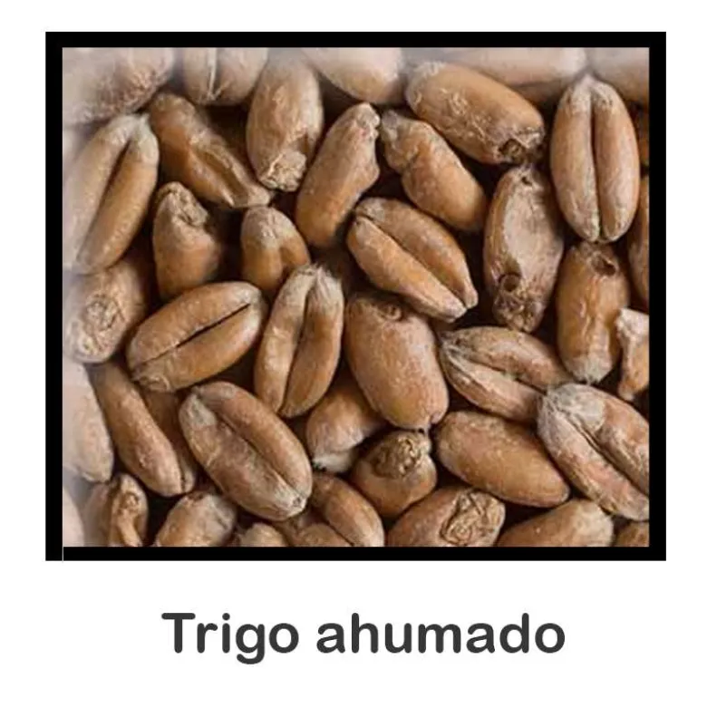 Malta de Trigo Ahumada - 1 Kg - Entera