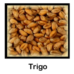 Malta de Trigo - 500 g Entera