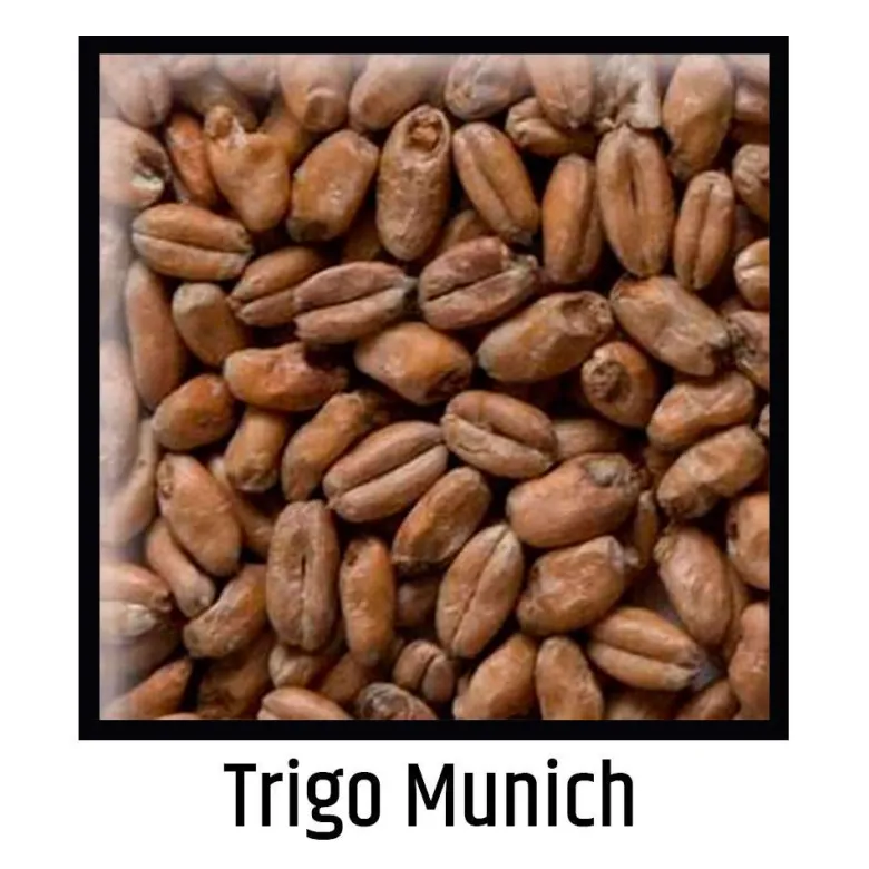 Malta de trigo Munich - 500g Entera