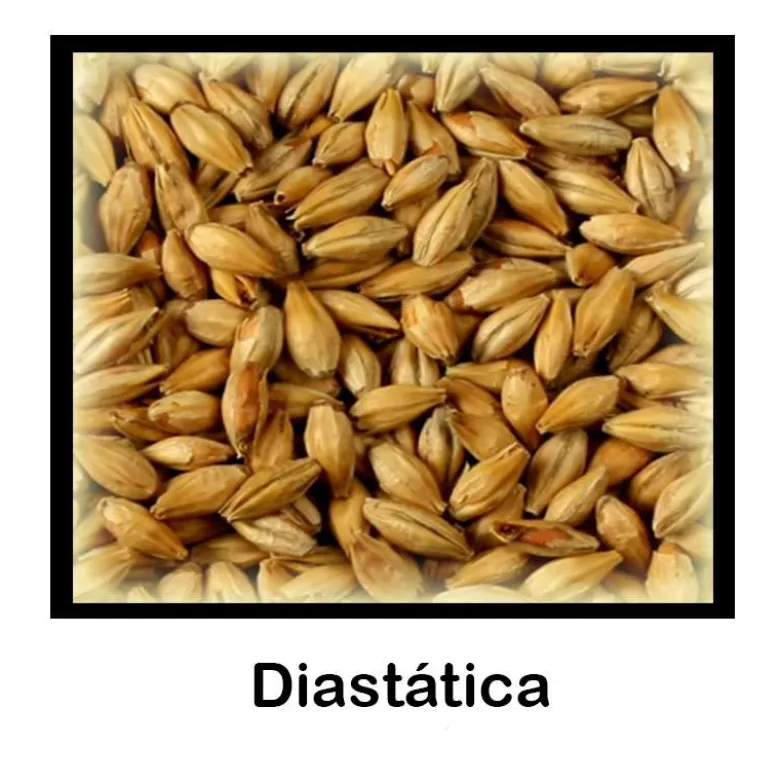 Malta Diastática - 500g Entera