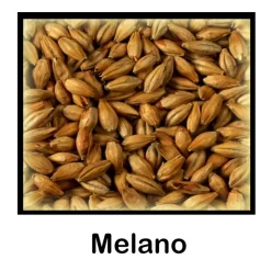 Malta Melano - 500 g Entera