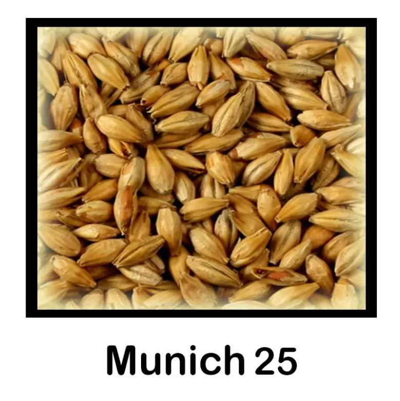 Malta Munich - 1Kg Entera