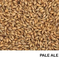 Malta Pale Ale - 1 Kg ENTERA