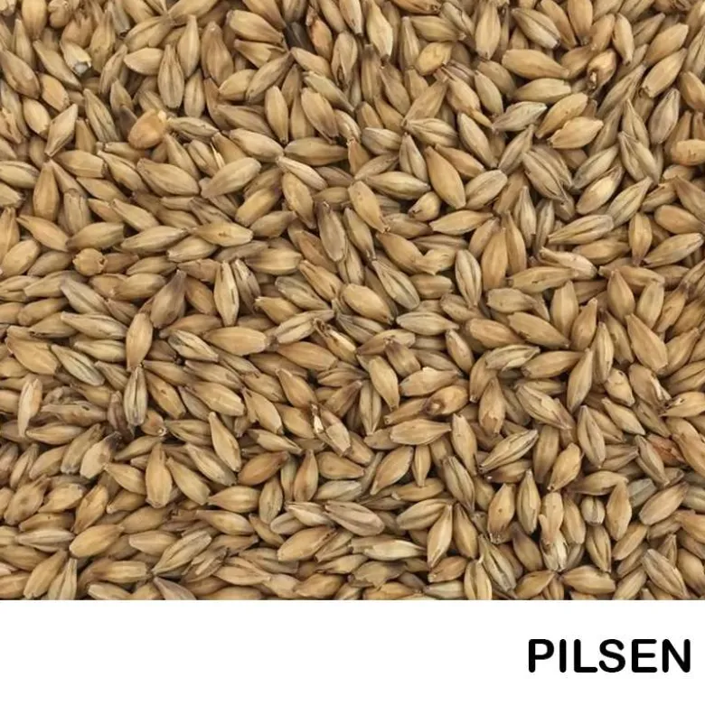 Malta Pilsen - 1 Kg ENTERA