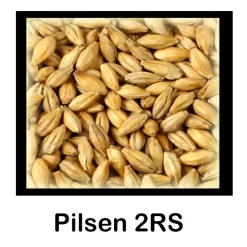 Malta Pilsen 2RS - 1 Kg Entera