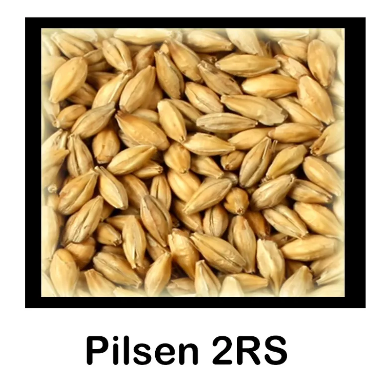 Malta Pilsen 2RS - 1 Kg Entera