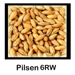 Malta Pilsen 6RW - 1 Kg Entera