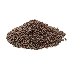 Semillas de mostaza marrón - 100g